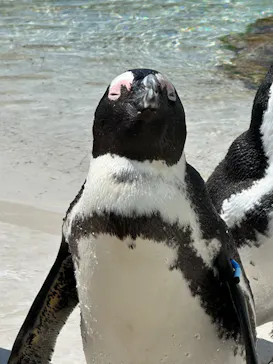 仙台うみの杜水族館に投稿された画像（2026/9/30）