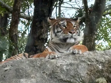 秋吉台自然動物公園 サファリランドに投稿された画像（2026/9/30）