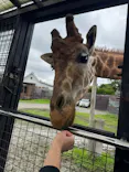 那須サファリパークに投稿された画像（2026/9/30）
