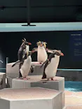 AOAO SAPPOROに投稿された画像（2026/9/30）