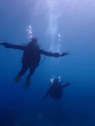 屋久島ダイビングガイド夢心地に投稿された画像（2026/9/30）