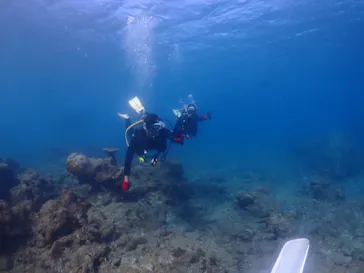 屋久島ダイビングガイド夢心地に投稿された画像（2026/9/30）