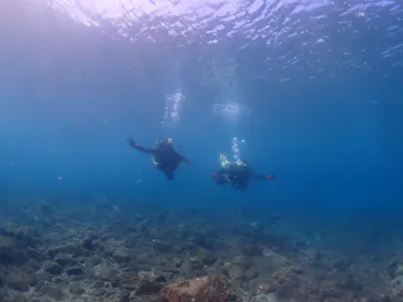 屋久島ダイビングガイド夢心地に投稿された画像（2026/9/30）