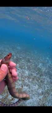 ちゃこたびに投稿された画像（2026/9/30）