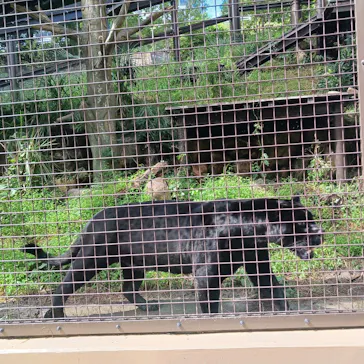 名古屋市東山動植物園に投稿された画像（2026/9/30）