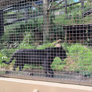 名古屋市東山動植物園に投稿された画像（2026/9/30）