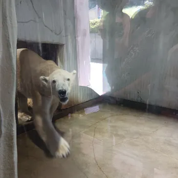 名古屋市東山動植物園に投稿された画像（2026/9/30）