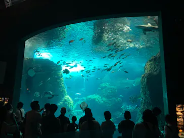 新江ノ島水族館に投稿された画像（2026/9/30）