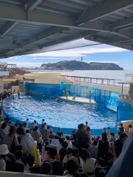 新江ノ島水族館に投稿された画像（2026/9/30）