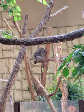 名古屋市東山動植物園に投稿された画像（2026/9/30）