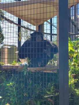 名古屋市東山動植物園に投稿された画像（2026/9/30）