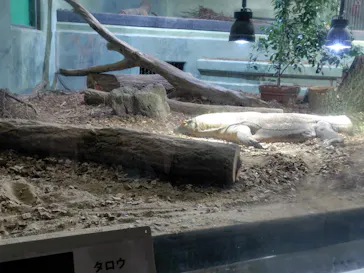 名古屋市東山動植物園に投稿された画像（2026/9/30）