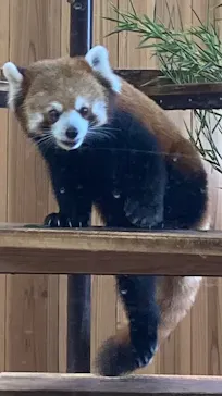 名古屋市東山動植物園に投稿された画像（2026/9/30）