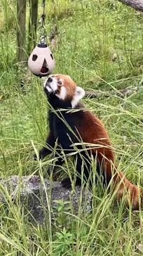 名古屋市東山動植物園に投稿された画像（2026/9/30）