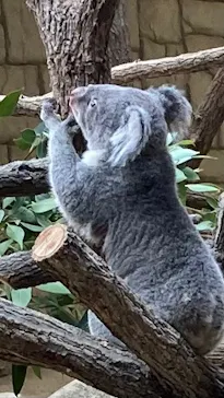 名古屋市東山動植物園に投稿された画像（2026/9/30）