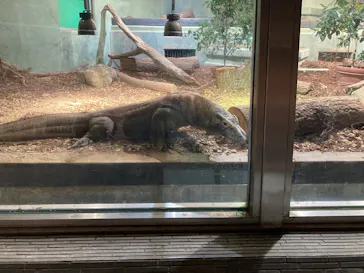名古屋市東山動植物園に投稿された画像（2026/9/30）