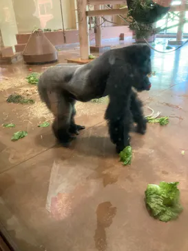 名古屋市東山動植物園に投稿された画像（2026/9/30）