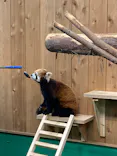 伊豆シャボテン動物公園に投稿された画像（2026/9/30）