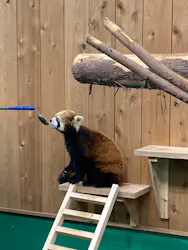 伊豆シャボテン動物公園に投稿された画像（2026/9/30）