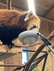 伊豆シャボテン動物公園に投稿された画像（2026/9/30）
