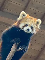 伊豆シャボテン動物公園に投稿された画像（2026/9/30）