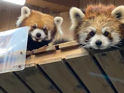 伊豆シャボテン動物公園に投稿された画像（2026/9/30）