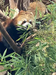 伊豆シャボテン動物公園に投稿された画像（2026/9/30）