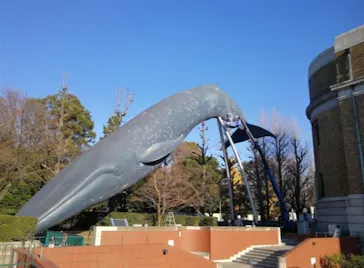 国立科学博物館に投稿された画像（2026/10/1）