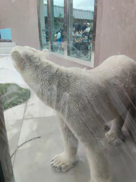 天王寺動物園に投稿された画像（2026/10/1）