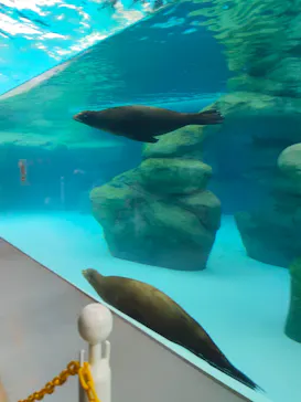 天王寺動物園に投稿された画像（2026/10/1）