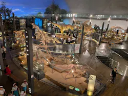 福井県立恐竜博物館に投稿された画像（2026/10/1）