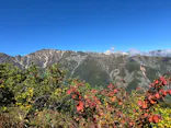 白馬五竜高山植物園に投稿された画像（2026/10/1）