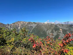 白馬五竜高山植物園に投稿された画像（2026/10/1）