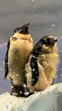 名古屋港水族館に投稿された画像（2026/10/1）