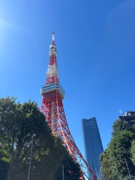 東京タワーに投稿された画像（2026/10/1）