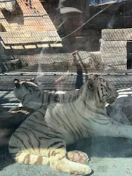 東武動物公園に投稿された画像（2026/10/1）