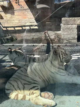 東武動物公園に投稿された画像（2026/10/1）