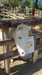 東武動物公園に投稿された画像（2026/10/1）