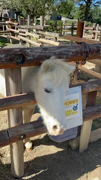 東武動物公園に投稿された画像（2026/10/1）