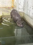 いしかわ動物園に投稿された画像（2026/10/1）