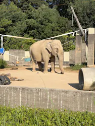 いしかわ動物園に投稿された画像（2026/10/1）
