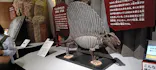 特別展　大絶滅展に投稿された画像（2026/10/1）