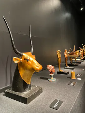 MYSTERY OF TUTANKHAMEN 体感型古代エジプト展に投稿された画像（2026/10/1）