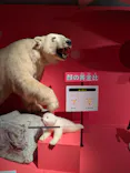 特別展「いきもの超ワールド展　国立科学博物館×ダーウィンが来た！」（国立科学博物館）に投稿された画像（2026/10/1）