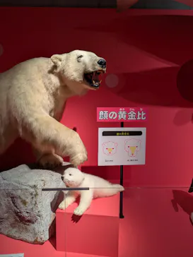 特別展「いきもの超ワールド展　国立科学博物館×ダーウィンが来た！」（国立科学博物館）に投稿された画像（2026/10/1）