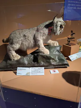 特別展「いきもの超ワールド展　国立科学博物館×ダーウィンが来た！」（国立科学博物館）に投稿された画像（2026/10/1）