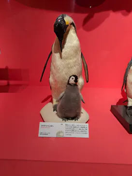 特別展「いきもの超ワールド展　国立科学博物館×ダーウィンが来た！」（国立科学博物館）に投稿された画像（2026/10/1）