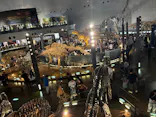福井県立恐竜博物館に投稿された画像（2026/10/2）