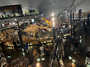 福井県立恐竜博物館に投稿された画像（2026/10/1）