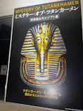 MYSTERY OF TUTANKHAMEN 体感型古代エジプト展に投稿された画像（2026/10/2）